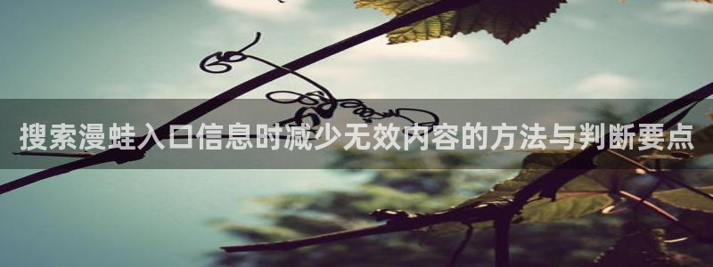 51漫画漫画分类导航:搜索漫蛙入口信息时减少无效内容的方法与判断要点